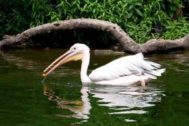 Similar image 1430587