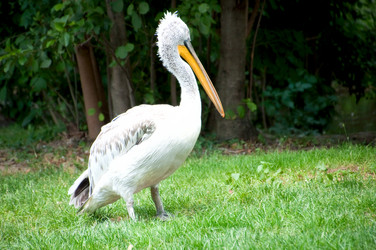 Similar image 1430588