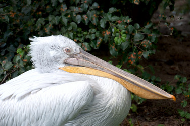 Similar image 1430589