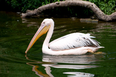 Similar image 1430590