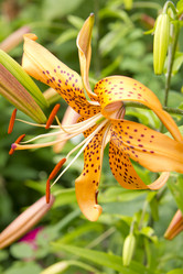 Similar image 1430638