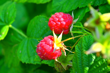 Similar image 1430665