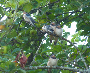 Similar image 1430703