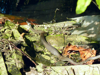 Similar image 1430704