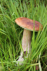 Similar image 1430708