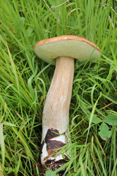 Similar image 1430709