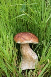 Similar image 1430711