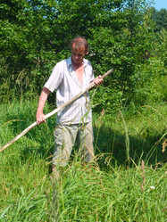 Similar image 1430714