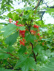 Similar image 1430723