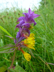 Similar image 1430725