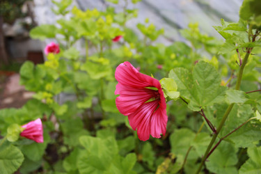 Similar image 1430733