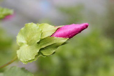 Similar image 1430734