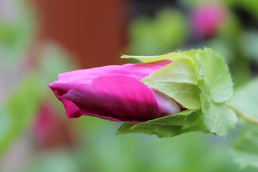 Similar image 1430735