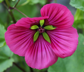 Similar image 1430736