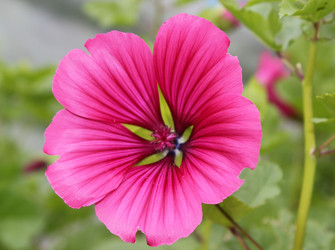 Similar image 1430738