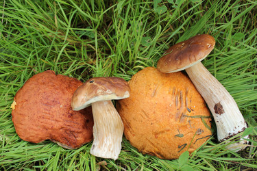 Similar image 1430740