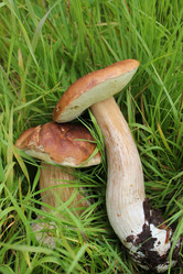 Similar image 1430742