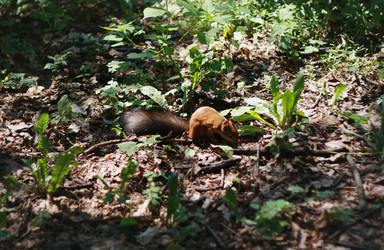 Similar image 1430786