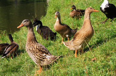 Similar image 1430787