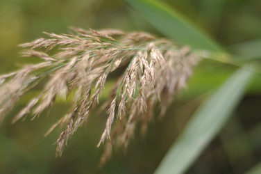 Similar image 1430805