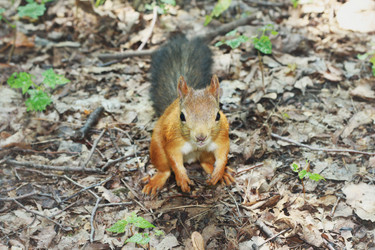 Similar image 1430815