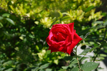 Similar image 1430826