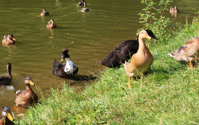 Similar image 1430888