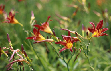 Similar image 1430891