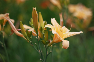 Similar image 1430892