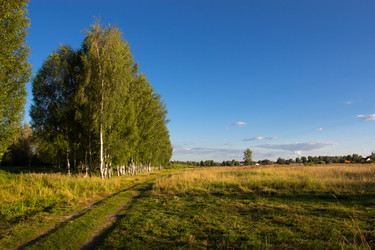 Similar image 1430985