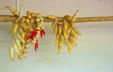 Similar image 1431002