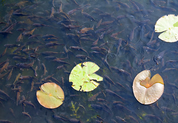 Similar image 1431003