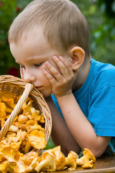 Similar image 1431007