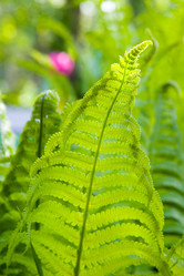 Similar image 1431010