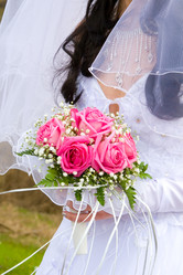 Similar image 1431011