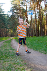 Similar image 1431012