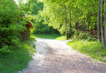 Similar image 1431020