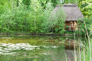 Similar image 1431022