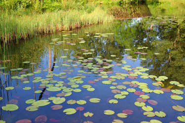 Similar image 1431023