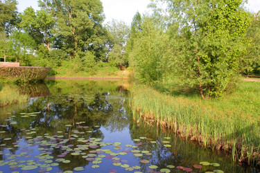 Similar image 1431024