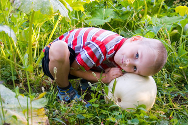 Similar image 1431026