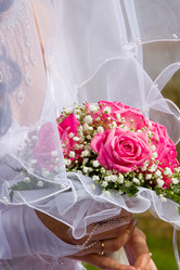 Similar image 1431031