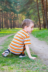 Similar image 1431035