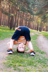 Similar image 1431036