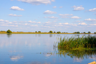 Similar image 1431040