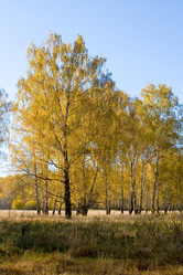 Similar image 1431041