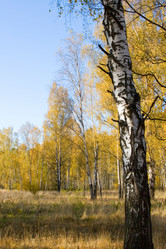 Similar image 1431042