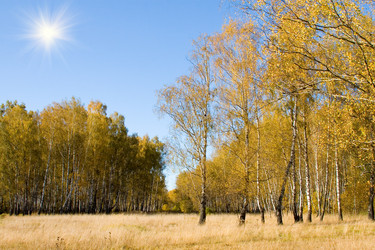 Similar image 1431043