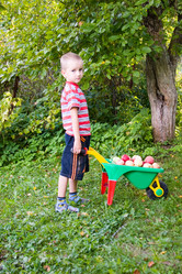 Similar image 1431045