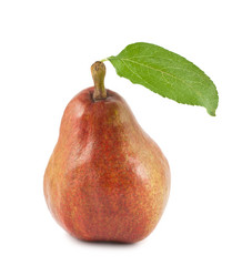 Similar image 1431058